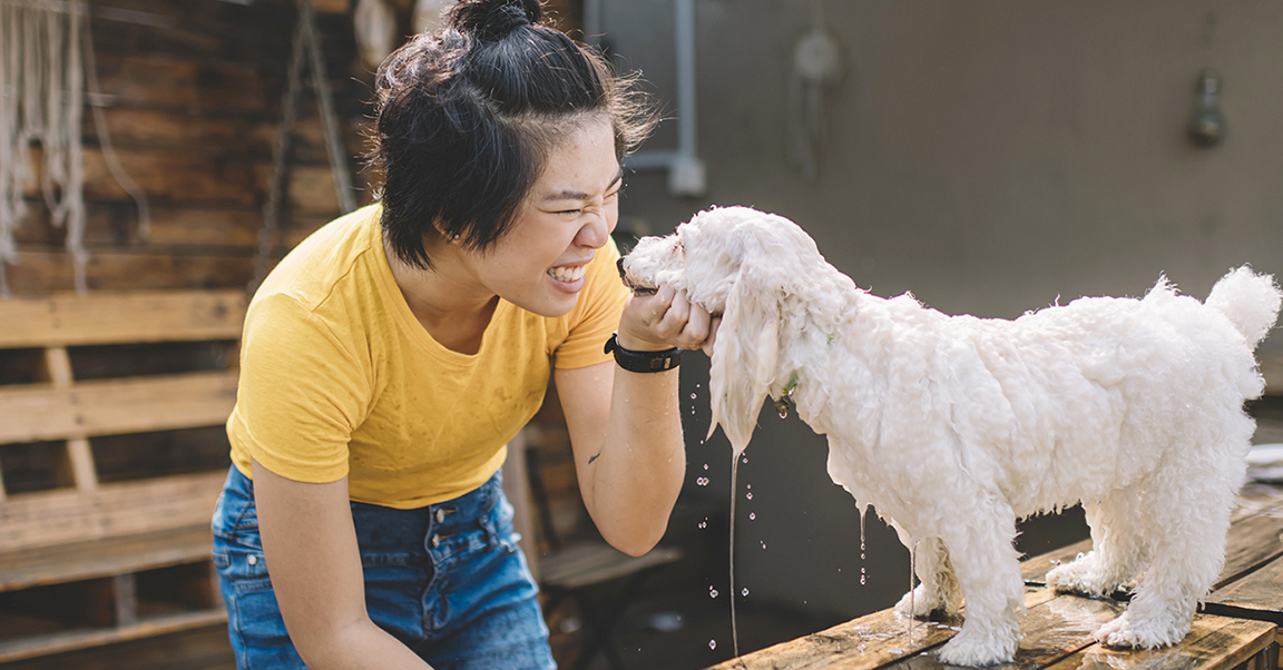 Boots and 2025 barkley dog shampoo