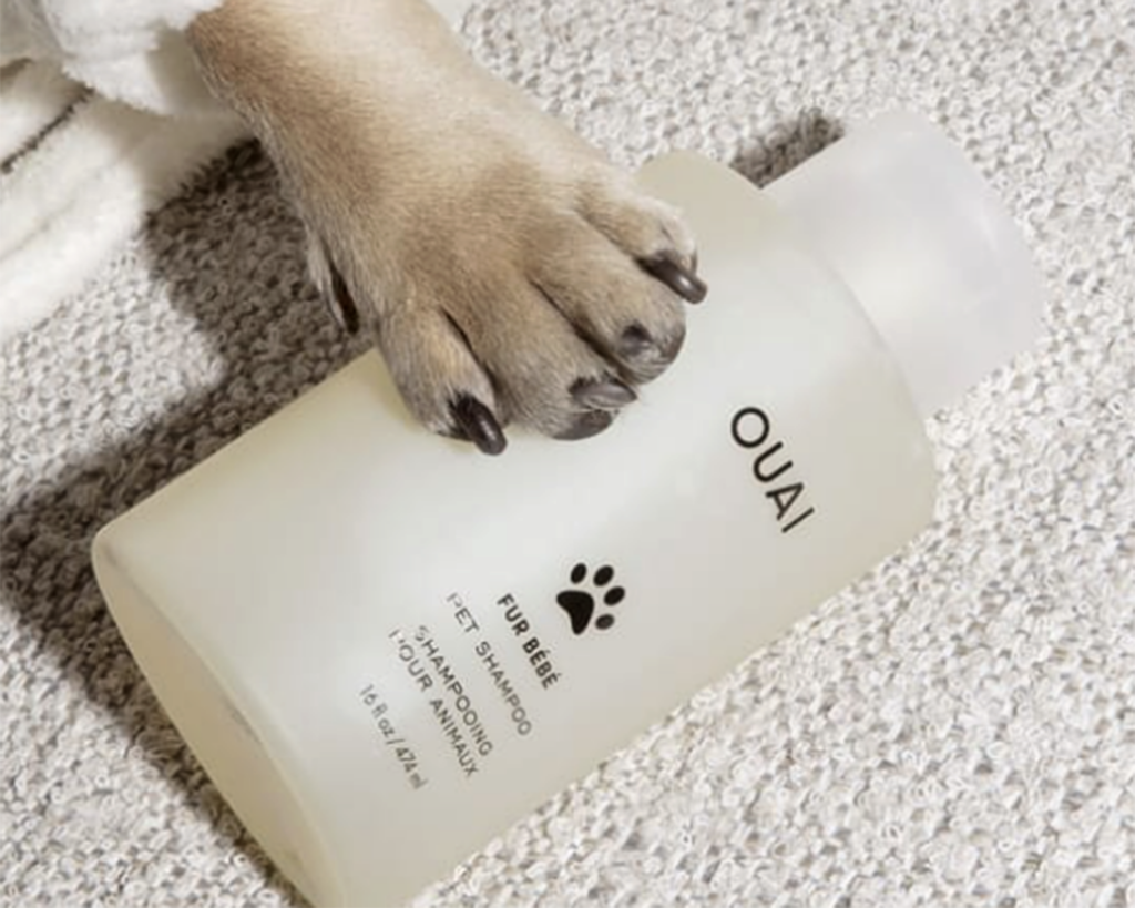 Ouai dog shampoo hotsell